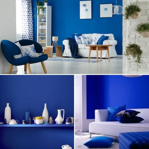 Le bleu klein en tant que couleur tendance pour l'année 2022 : Osez les couleurs électriques dans vos intérieurs  !